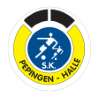 S.K. Pepingen-Halle